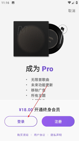 谜底黑胶官方正版