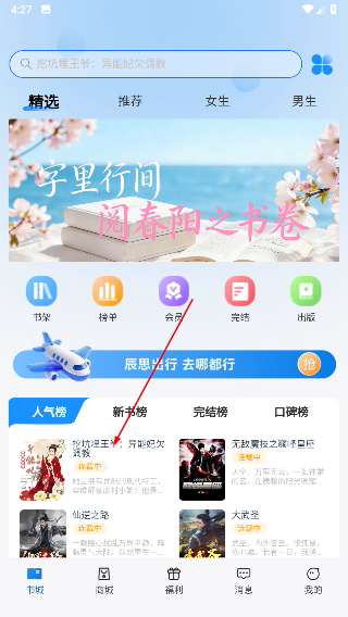 辰思小说