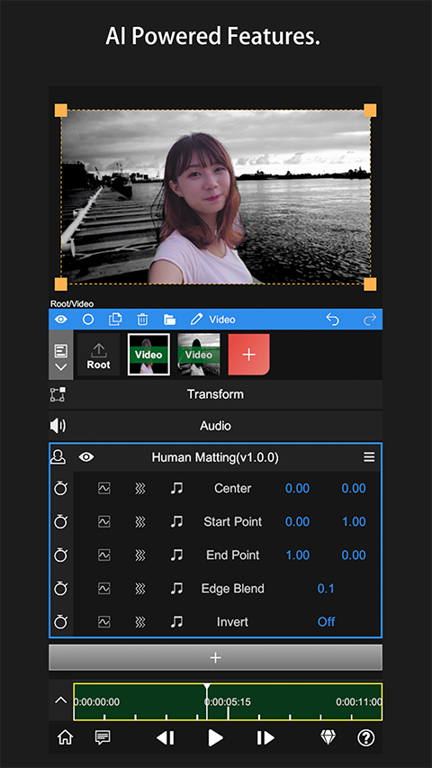 nodevideo剪辑软件截图4