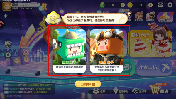 迷你世界