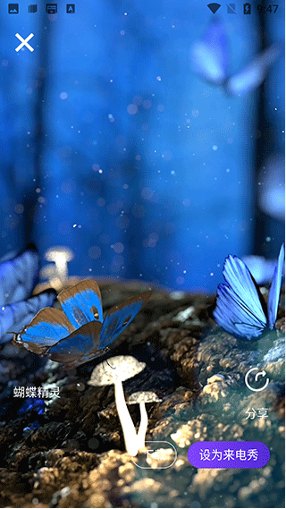 手机彩铃