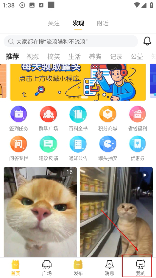 友猫