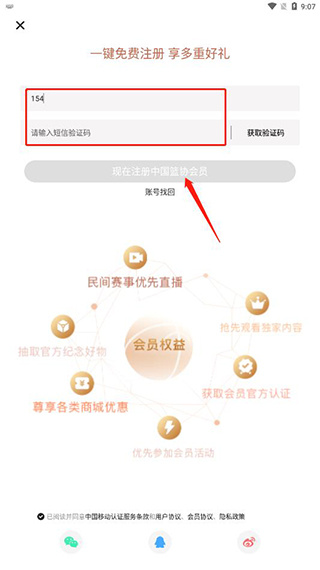 中国篮球