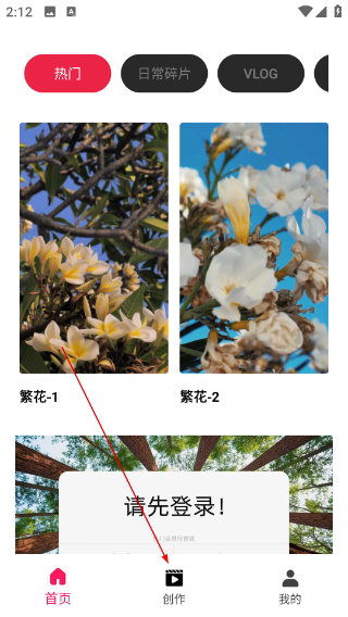 tipss外国版软件