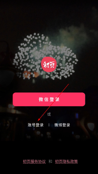 初页极速版