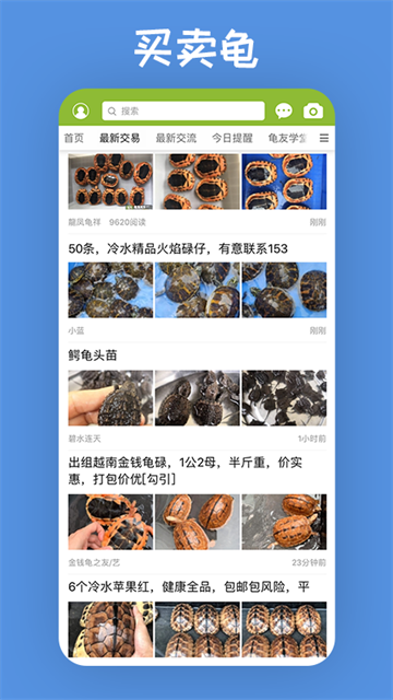 龟友天下截图1