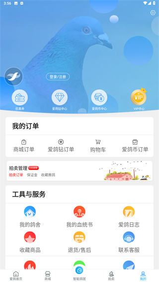 爱鸽者