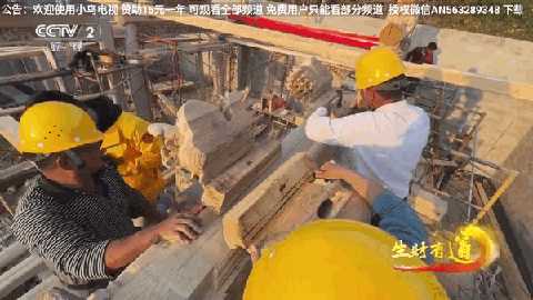 小鸟tv截图2