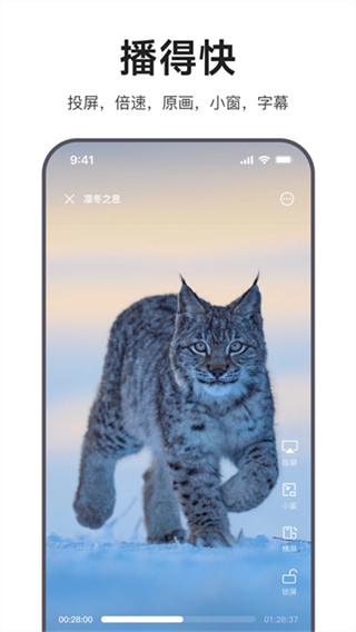 迅雷浏览器截图4
