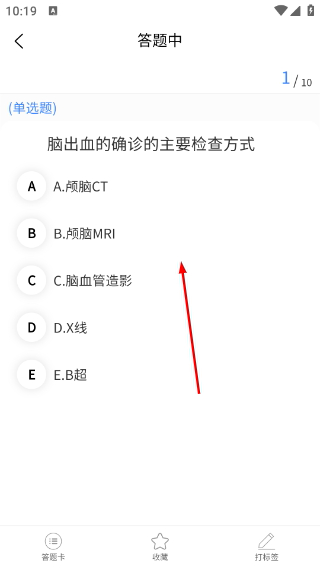 南丁园