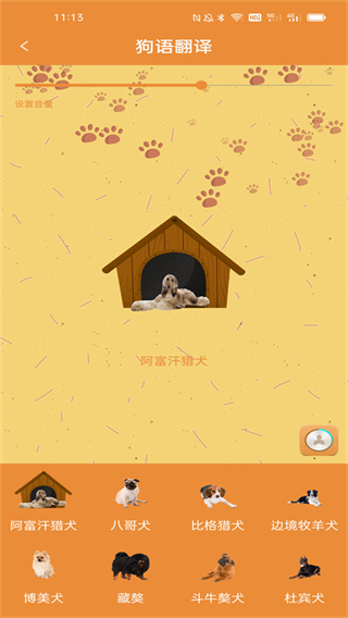 宠物猫狗翻译器