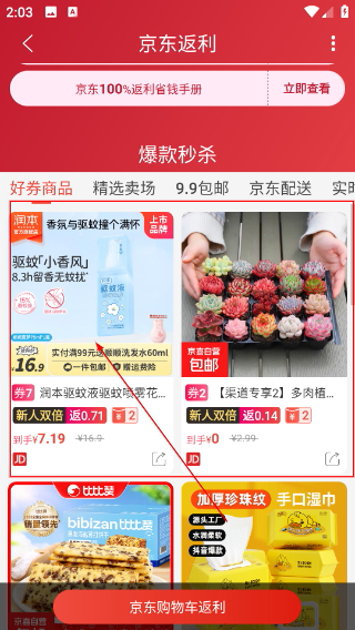 比比宝