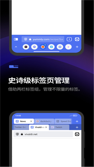 Vivaldi截图3