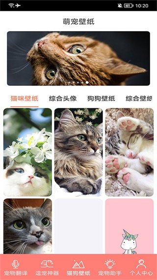 萌宠日常助手截图3