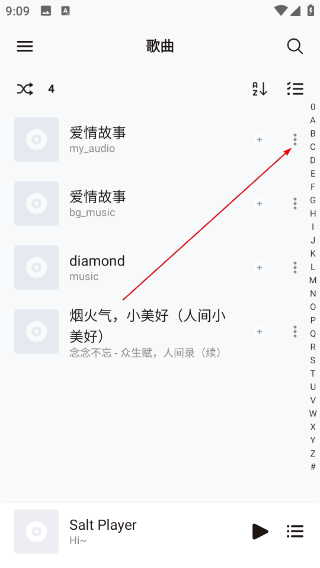 Salt Player最新版