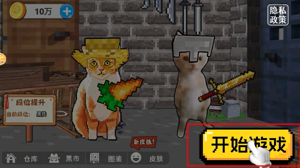 高中部摸金