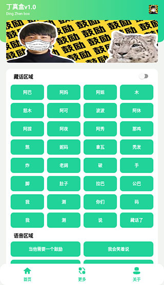 丁真盒app
