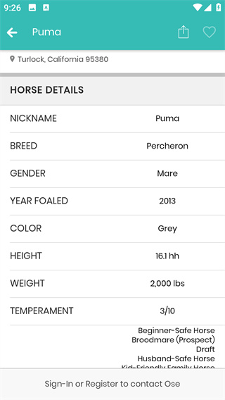 PonyPlace