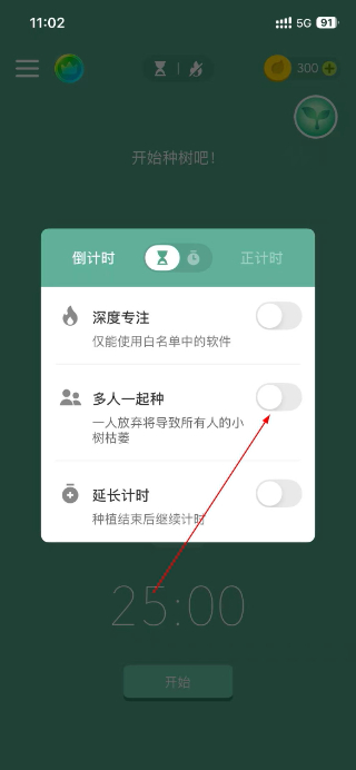 Forest专注森林