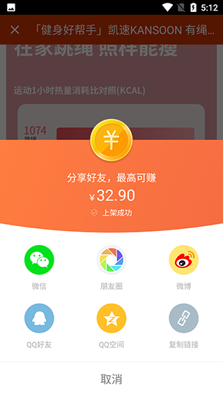 有赞微小店