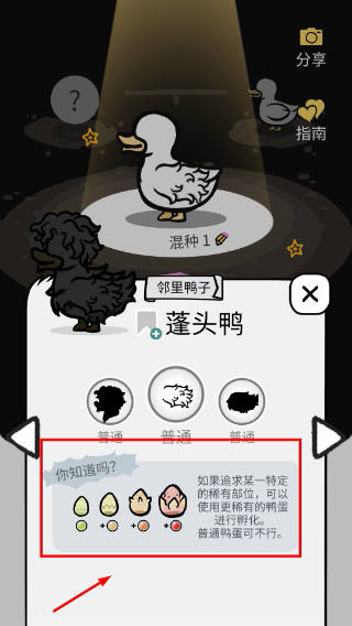 怪鸭世界免广告