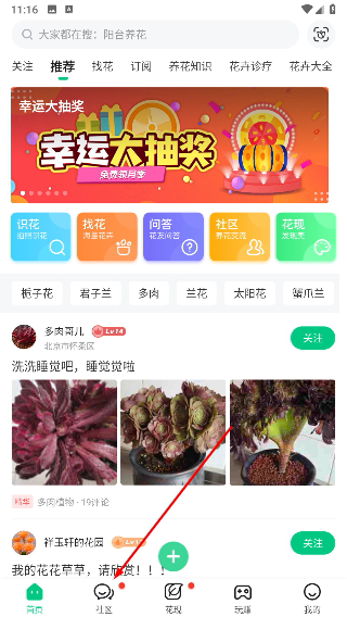 养花大全