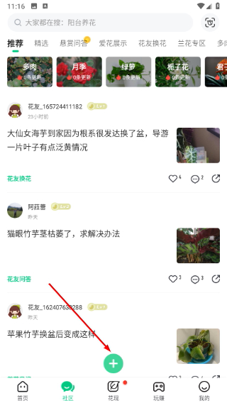 养花大全