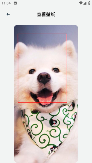 橘慢app正版下载