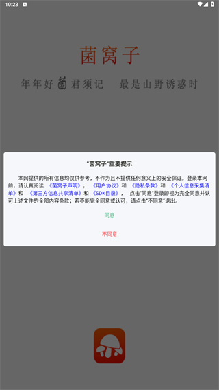 菌窝子