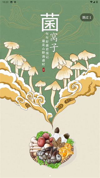 菌窝子