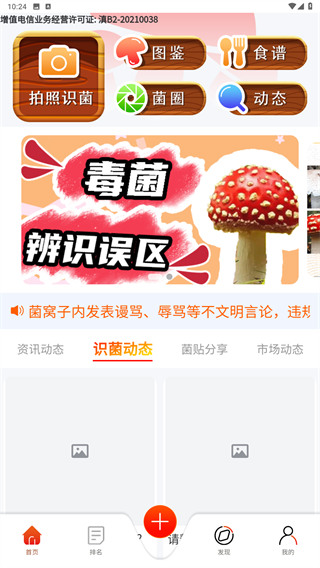 菌窝子