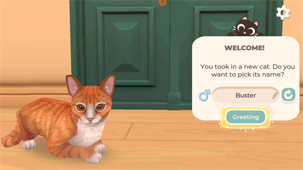 Cat Rescue Story