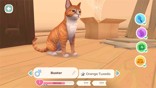 Cat Rescue Story