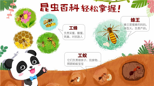 奇妙昆虫世界截图3