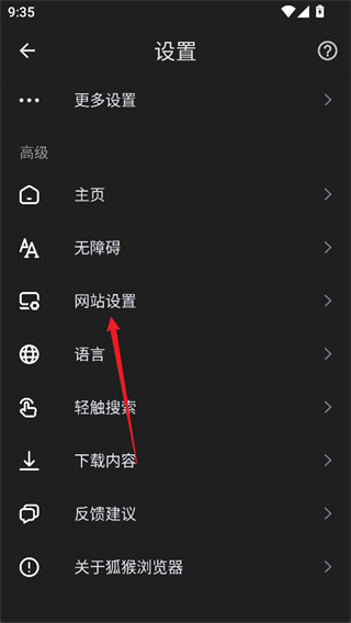 狐猴浏览器