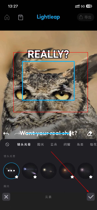lightleap会员免费版下载