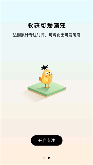 专注崽崽
