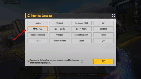 pubg国际服手游