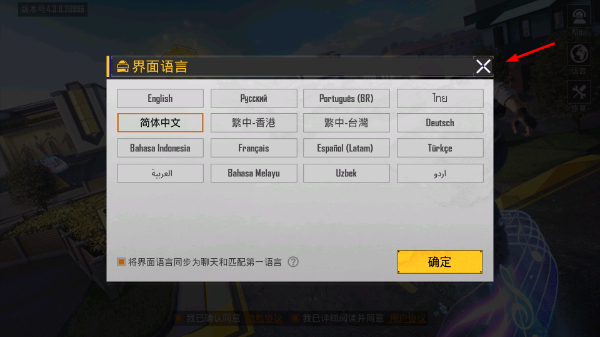 pubg国际服手游