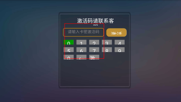 每日新影视
