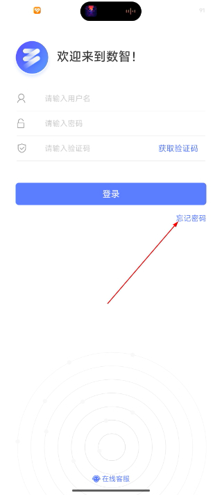 数智