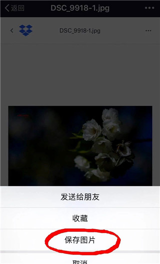 Dropbox app