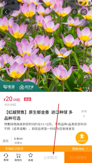 虹越花卉网上商城