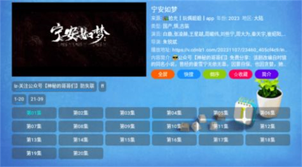 拾光Cat官方正版截图2