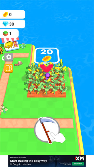Farm Land