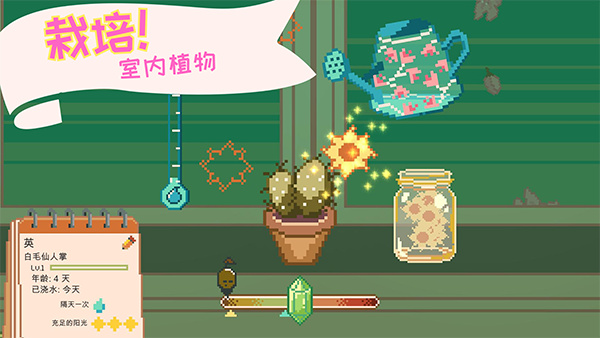 Window Garden截图4