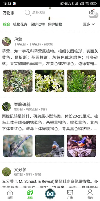 万物志