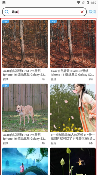视频素材大全