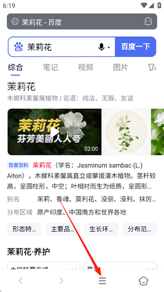 蓝奏浏览器