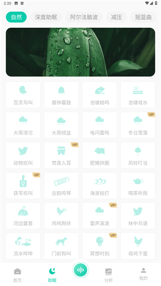 萤火虫睡眠